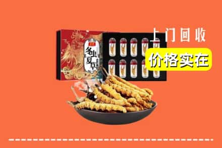 泸溪县回收冬虫夏草