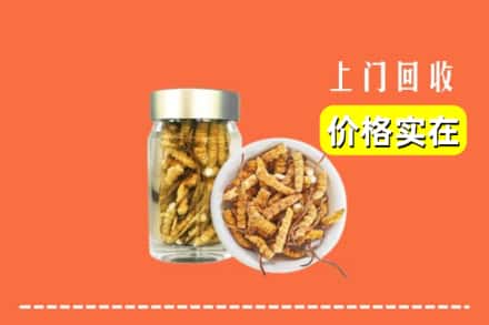 泸溪县回收散虫草