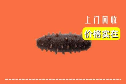 泸溪县回收海参