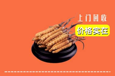 泸溪县回收冬虫夏草