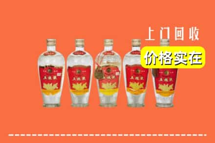 诚信求购:泸溪县高价回收老五粮液